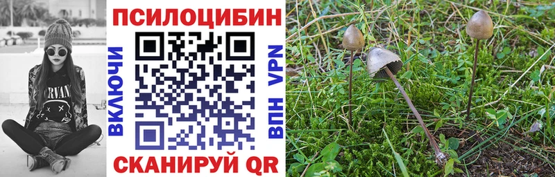 Галлюциногенные грибы Magic Shrooms  цены наркотик  ОМГ ОМГ зеркало  Красновишерск 